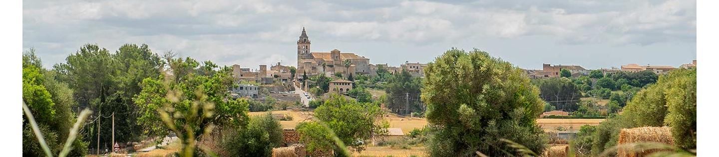 foto sencelles