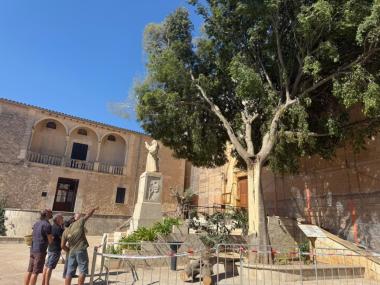 Revisió i actuació als lledoners de la plaça de la Vila